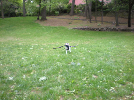 c0253487_1224518.jpg
