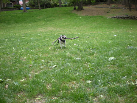 c0253487_1232332.jpg