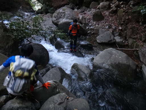 d0326888_03289.jpg