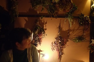 今日からスタート 「フボーと植物展 白Ⅱ」_f0226293_7304755.jpg