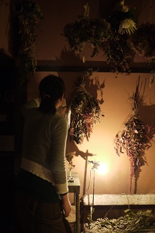 今日からスタート 「フボーと植物展 白Ⅱ」_f0226293_732618.jpg