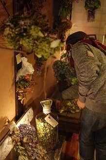 今日からスタート 「フボーと植物展 白Ⅱ」_f0226293_7353058.jpg