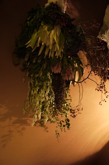 今日からスタート 「フボーと植物展 白Ⅱ」_f0226293_736125.jpg
