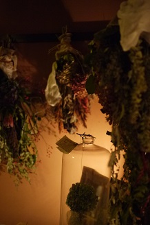 今日からスタート 「フボーと植物展 白Ⅱ」_f0226293_7362838.jpg