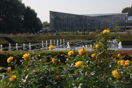 d0153294_21594176.jpg