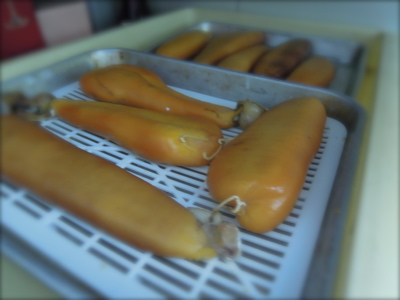 からすみ_f0232994_3134086.jpg