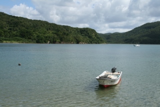 e0248795_21398.jpg