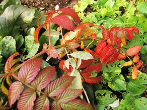 c0117898_20284456.jpg