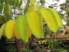 c0117898_20291053.jpg