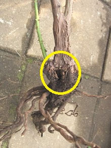 c0117898_20364280.jpg