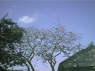 f0151099_538779.jpg