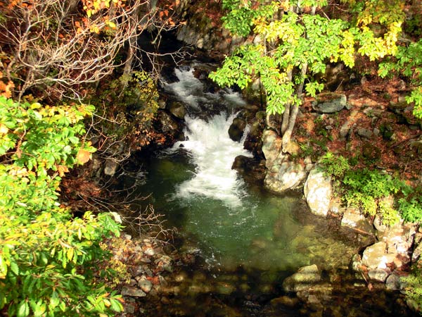 e0269400_14215290.jpg