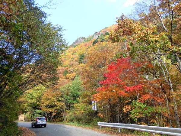 巣栗渓谷 すぐりけいこく の紅葉 上田市武石 四季の信濃路