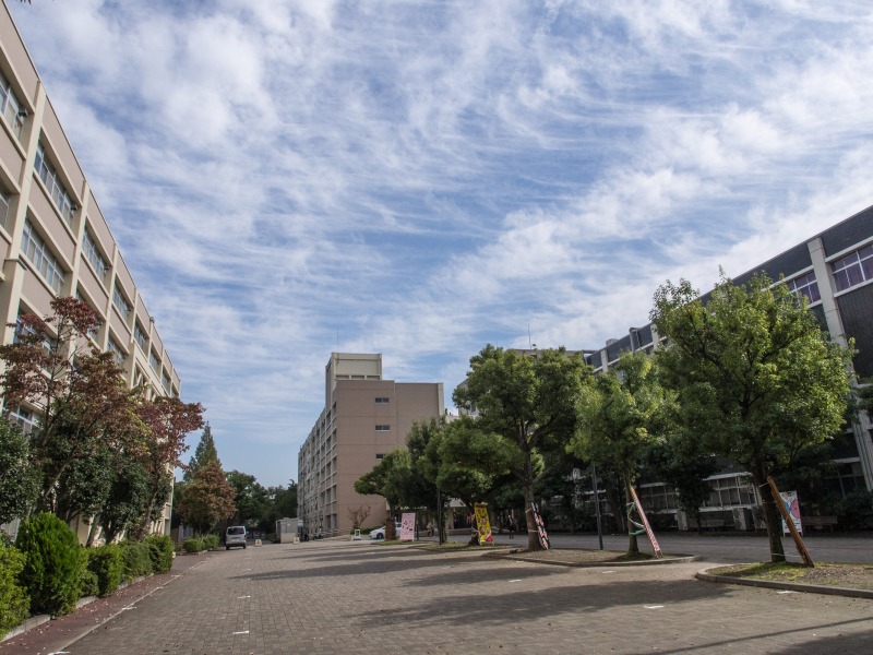 キャンパス点描 雨上がりの埼玉大学 Nama3の気ままに雑記