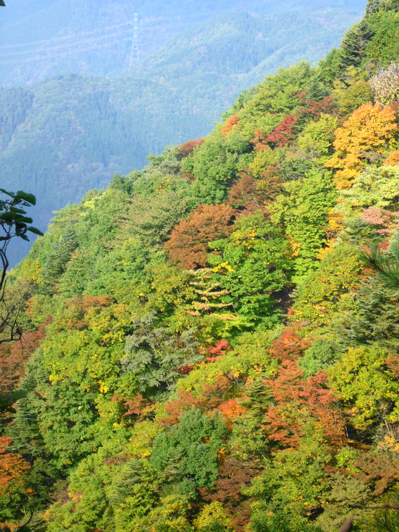 b0229003_22293470.jpg