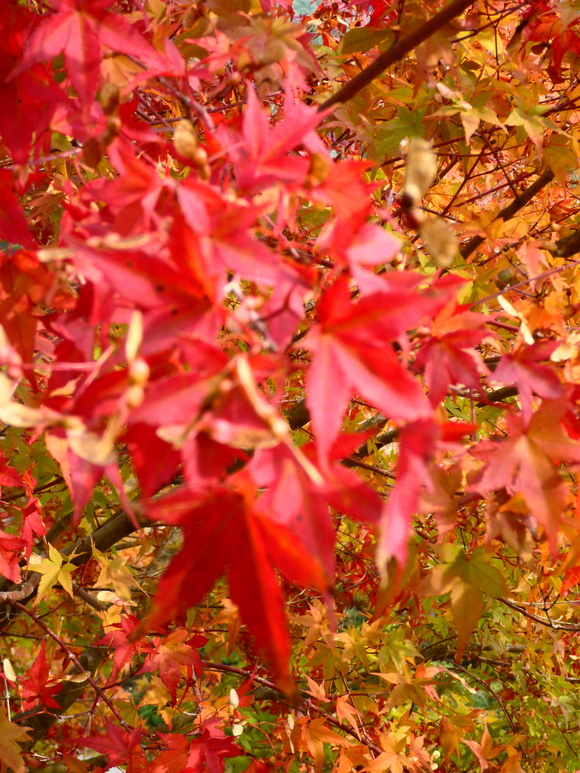 b0229003_2233331.jpg
