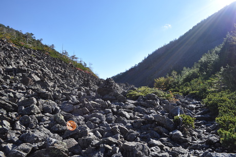 c0242406_19525610.jpg