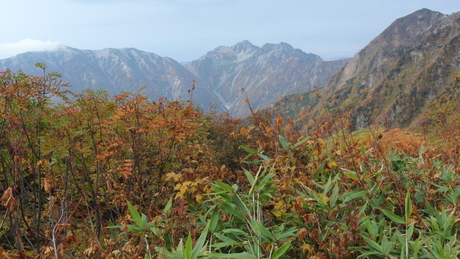 c0242406_5211420.jpg