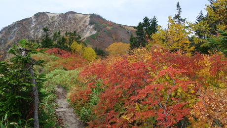 c0242406_5243287.jpg