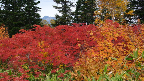 c0242406_5274824.jpg