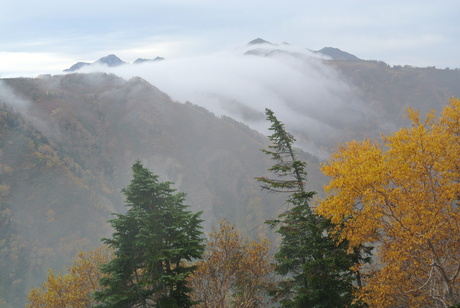 c0242406_614767.jpg