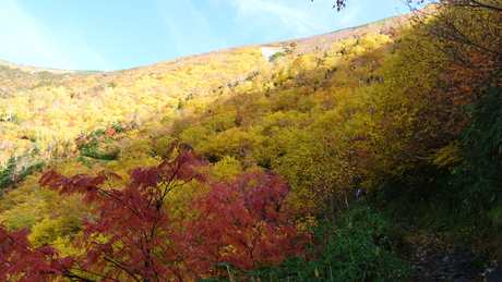 c0242406_6341171.jpg