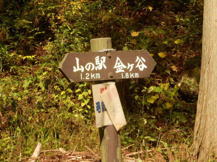 f0219710_11255278.jpg