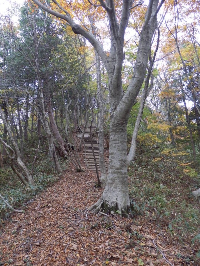 f0219710_11283128.jpg