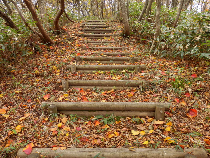 f0219710_1135285.jpg