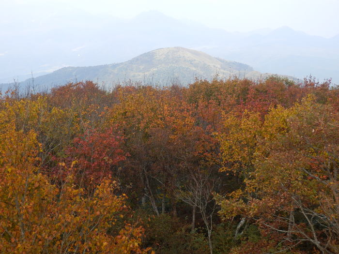 f0219710_11374263.jpg