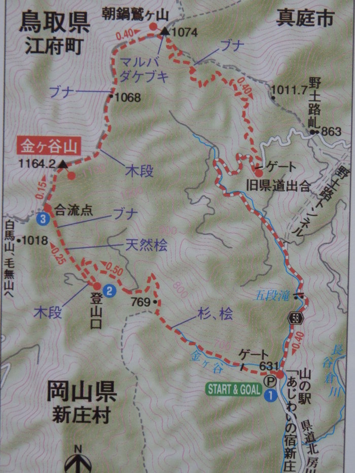 f0219710_11551.jpg