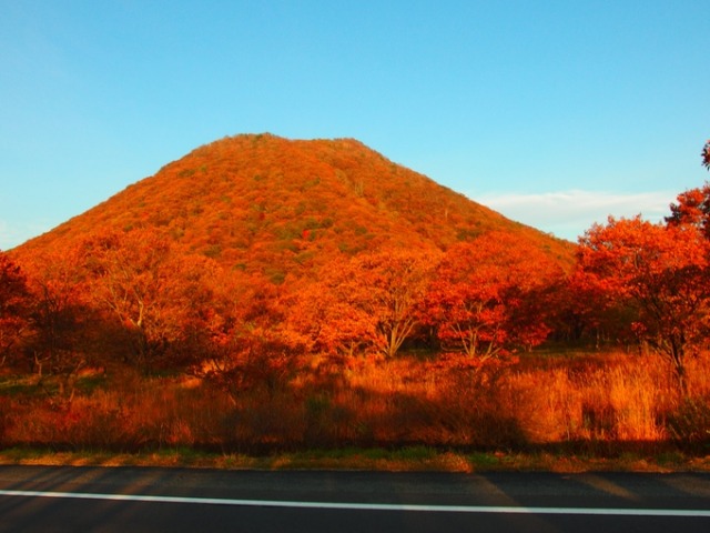 b0301412_22521041.jpg