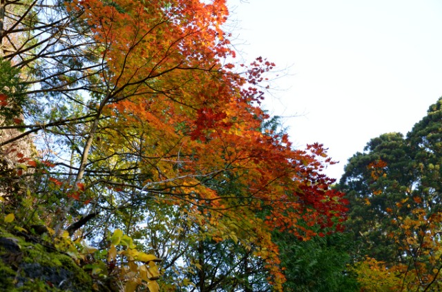 b0301412_23192837.jpg
