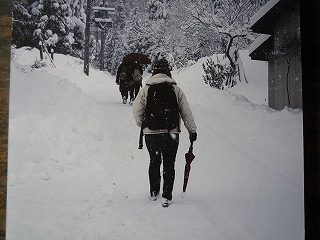 喰丸小学校のイチョウ_c0189218_7213734.jpg