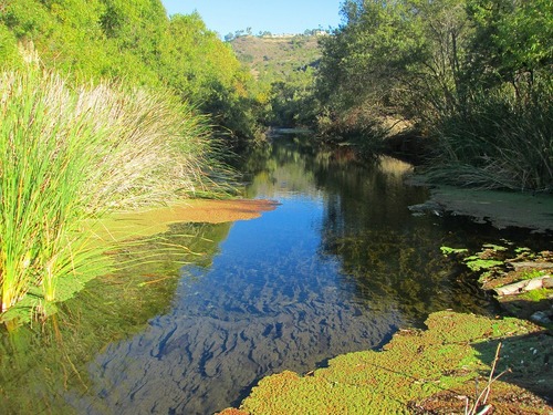 洞穴めぐりハイキング　　　　　Dripping Cave in Aliso and Wood Canyons Wilderness Park_f0308721_9262410.jpg