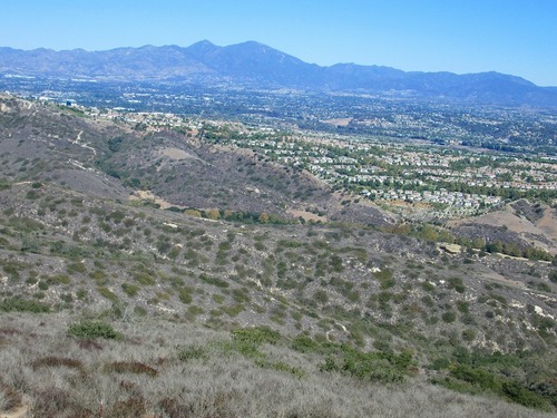 洞穴めぐりハイキング　　　　　Dripping Cave in Aliso and Wood Canyons Wilderness Park_f0308721_9262549.jpg