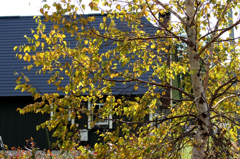 a0304423_23105525.jpg