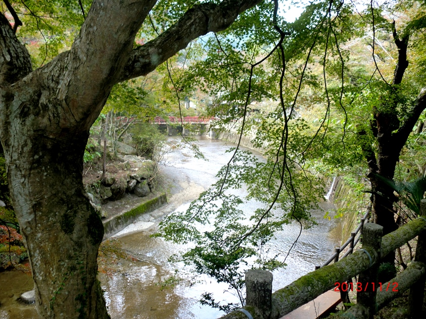 d0181824_1352885.jpg