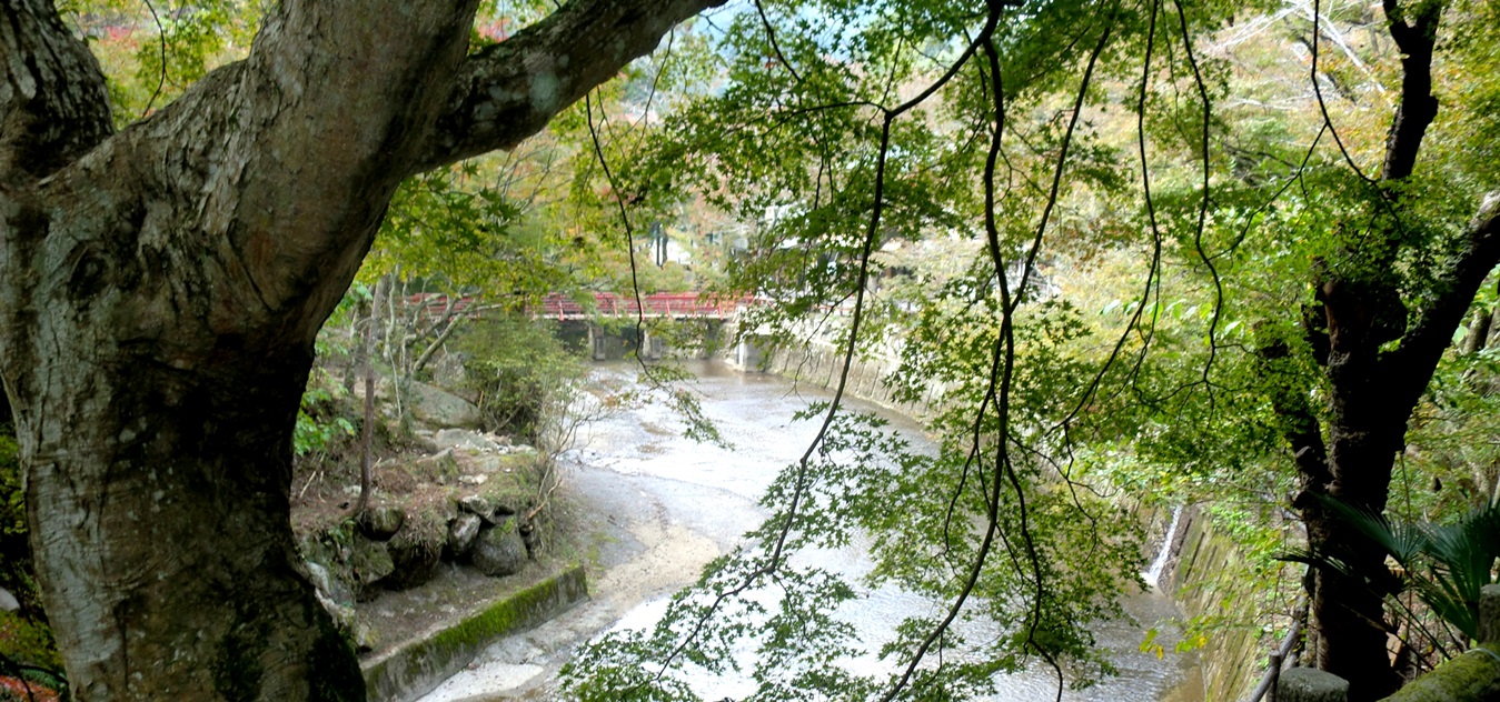 d0181824_1353109.jpg