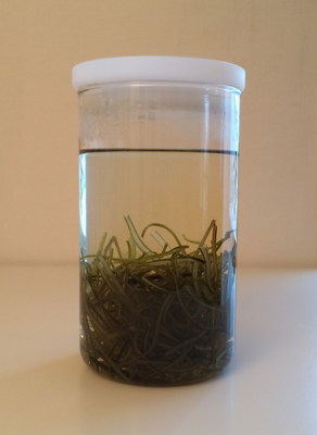 昆布水_e0243332_1065564.jpg