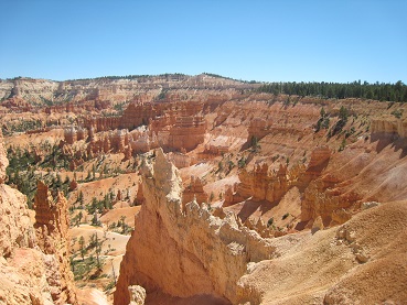 a0080833_0485513.jpg