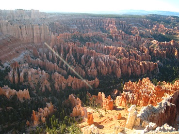 a0080833_050555.jpg