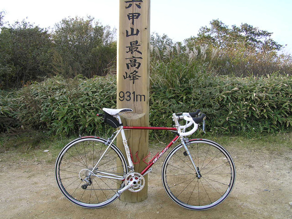 自然にはスチールが良く合いますね!_d0182937_13584294.jpg