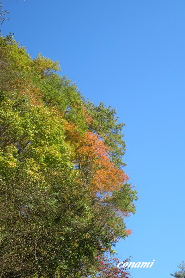 e0291638_16294518.jpg