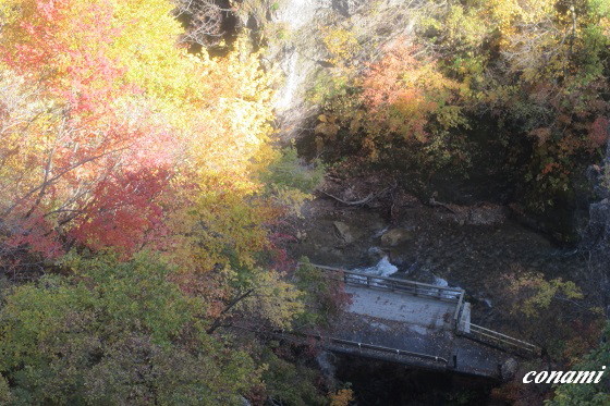 e0291638_16414984.jpg