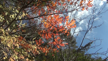 c0025140_2253011.jpg