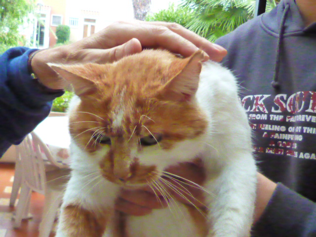 d0170140_0174670.jpg