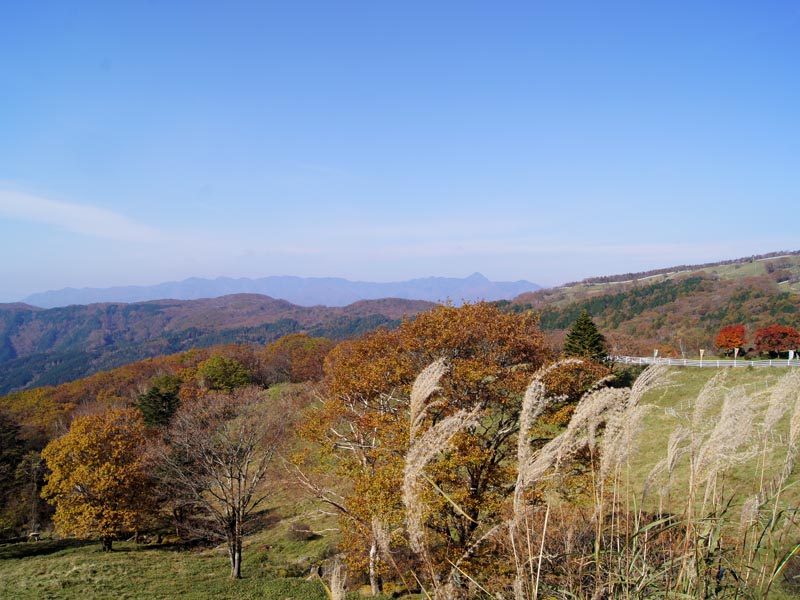 c0045352_19551823.jpg