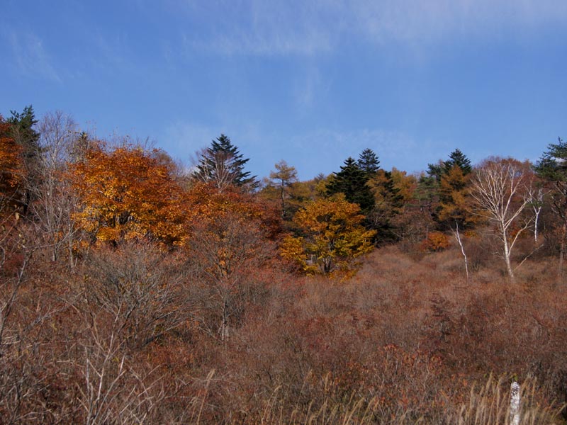 c0045352_19553154.jpg