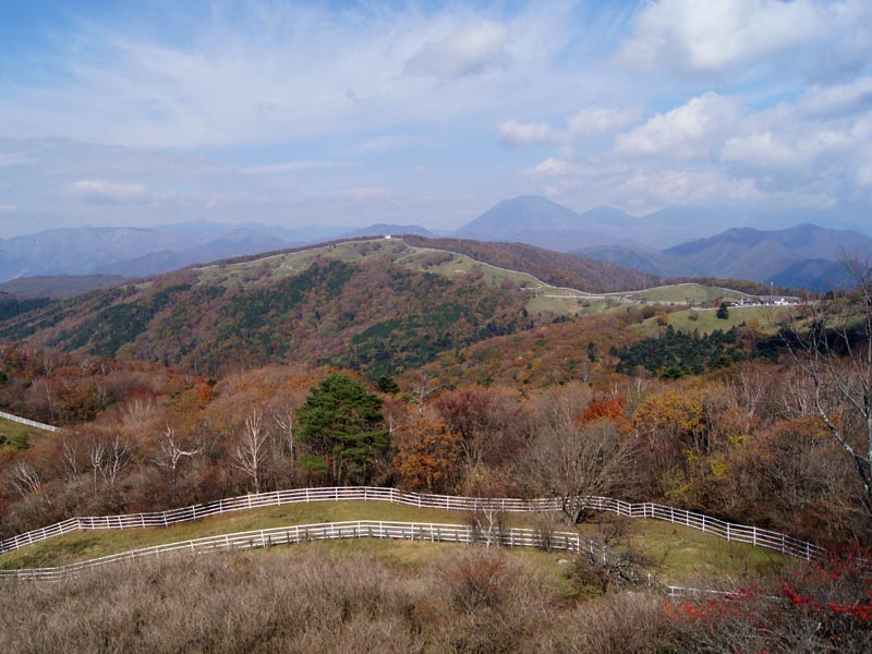 c0045352_195622.jpg